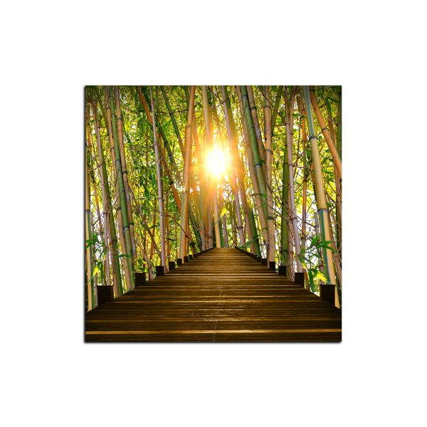 Obraz na plátně - Dřevěná promenáda v bambusovém lese - čtverec